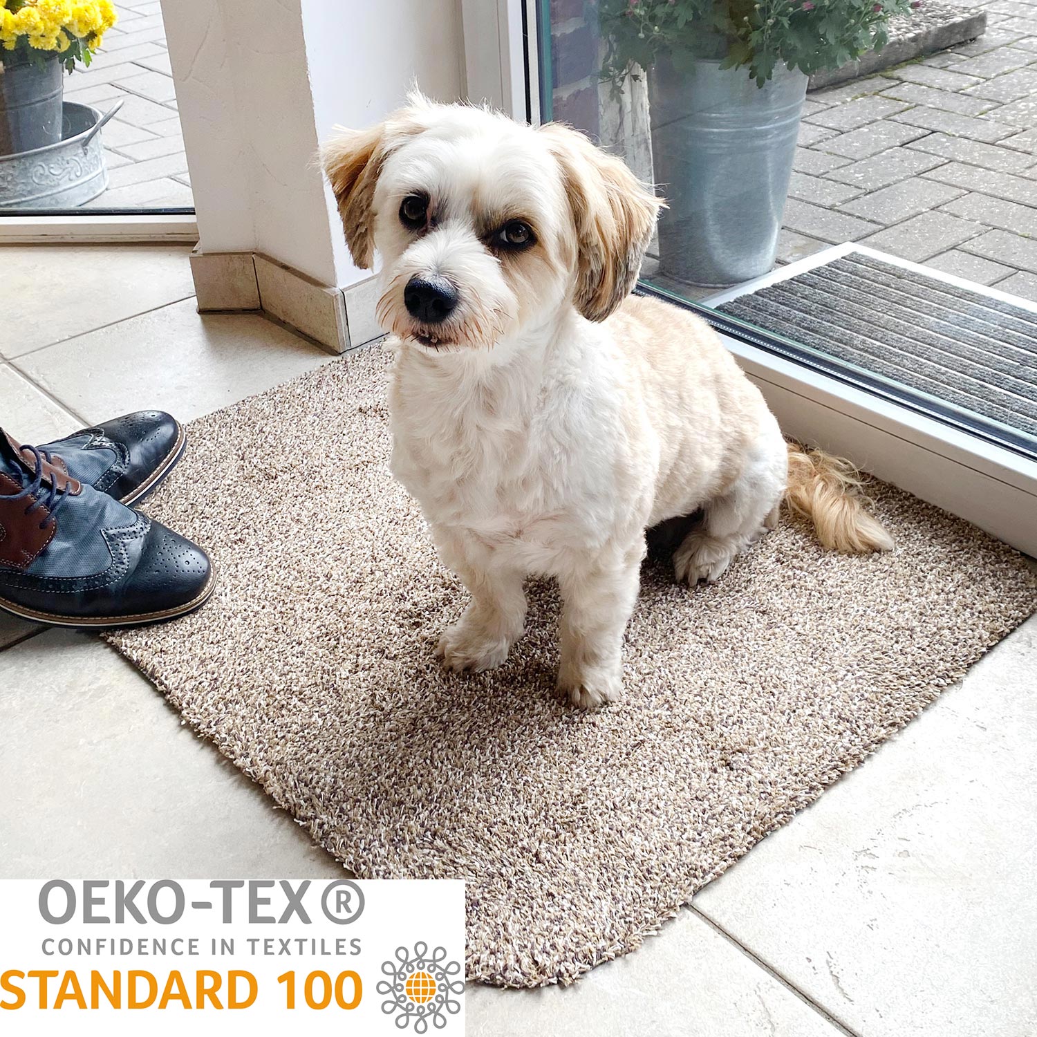 Schmutzfangmatte COTTON CLEAN | 3 Größen 